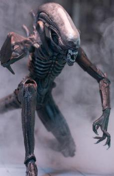 Alien